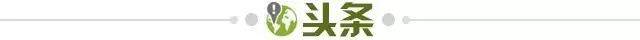 1775347780070026837.jpg 头条.jpg